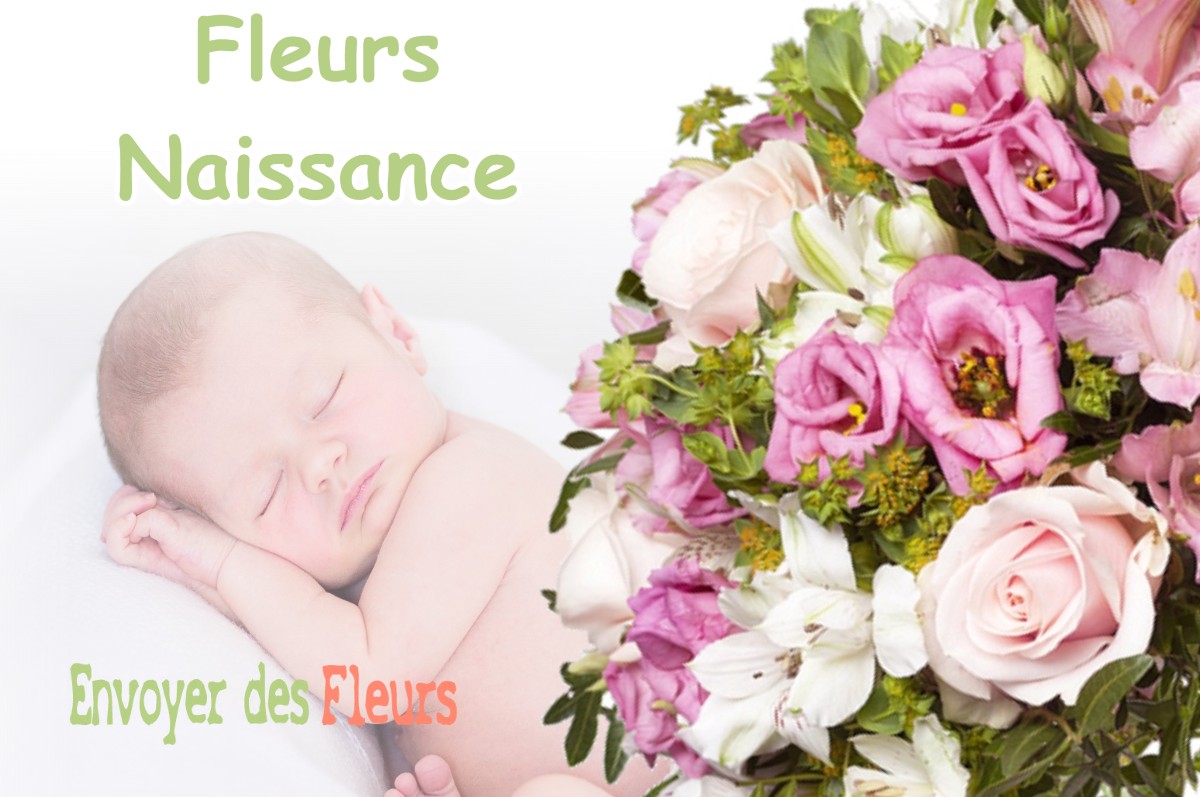 lIVRAISON FLEURS NAISSANCE à OSSAGES